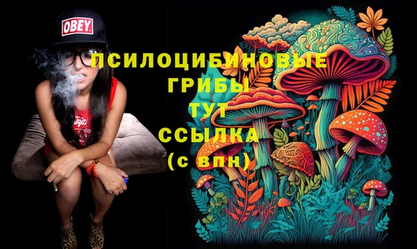 кокс Аркадак