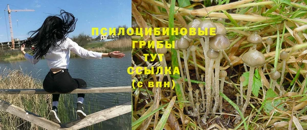 кокс Аркадак