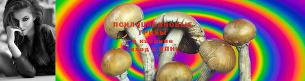 кокаин Арсеньев