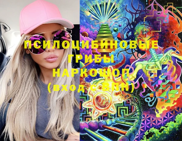 прущий лед Армянск