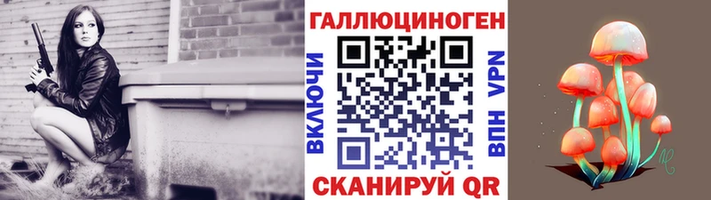 Галлюциногенные грибы Psilocybe Курганинск